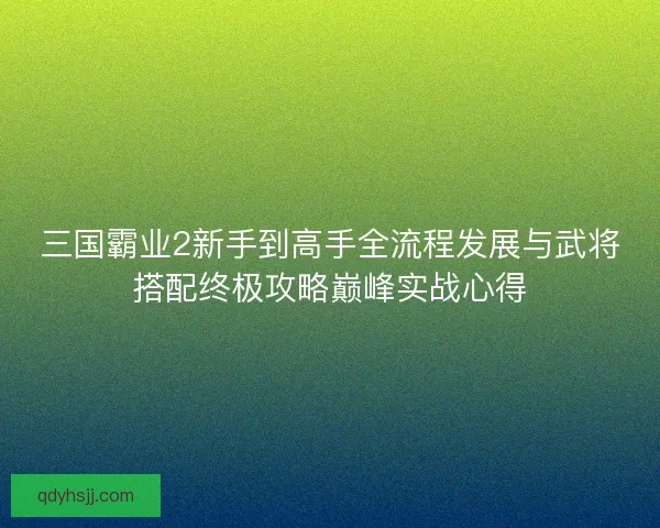 三国霸业2新手到高手全流程发展与武将搭配终极攻略巅峰实战心得
