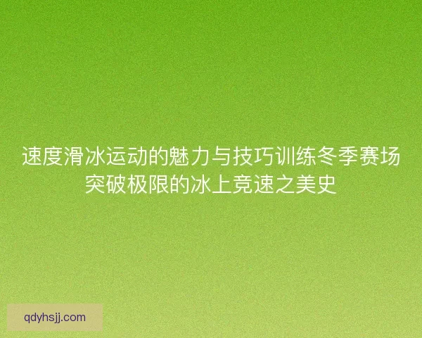 速度滑冰运动的魅力与技巧训练冬季赛场突破极限的冰上竞速之美史